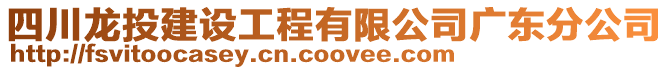 四川龍投建設工程有限公司廣東分公司