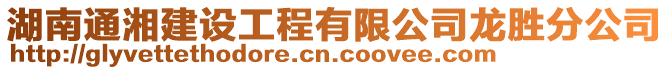 湖南通湘建設(shè)工程有限公司龍勝分公司