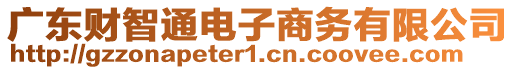 廣東財智通電子商務有限公司