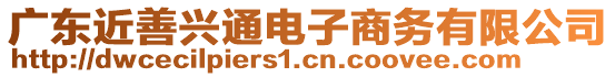 廣東近善興通電子商務(wù)有限公司