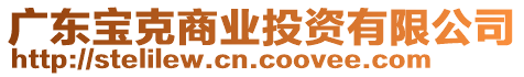 廣東寶克商業(yè)投資有限公司