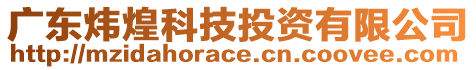 廣東煒煌科技投資有限公司