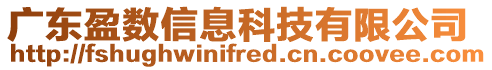 廣東盈數信息科技有限公司