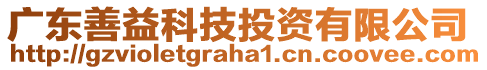 廣東善益科技投資有限公司