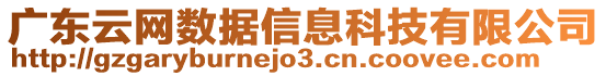 廣東云網(wǎng)數(shù)據(jù)信息科技有限公司