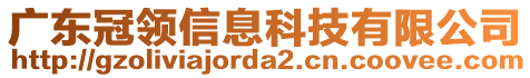 廣東冠領(lǐng)信息科技有限公司