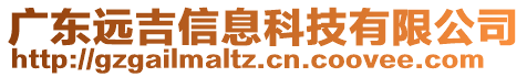 廣東遠(yuǎn)吉信息科技有限公司