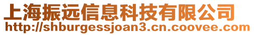 上海振遠信息科技有限公司