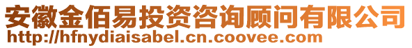安徽金佰易投資咨詢顧問有限公司
