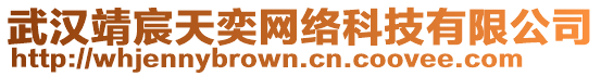 武漢靖宸天奕網(wǎng)絡(luò)科技有限公司