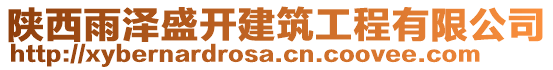陜西雨澤盛開(kāi)建筑工程有限公司