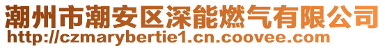 潮州市潮安區(qū)深能燃氣有限公司