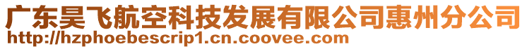 廣東昊飛航空科技發展有限公司惠州分公司
