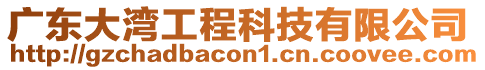 廣東大灣工程科技有限公司