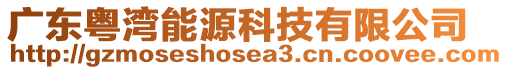 廣東粵灣能源科技有限公司