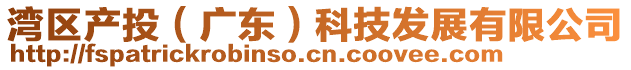 灣區(qū)產(chǎn)投（廣東）科技發(fā)展有限公司