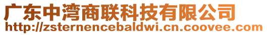 廣東中灣商聯科技有限公司