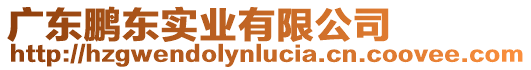 廣東鵬東實業有限公司