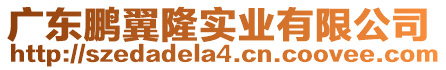 廣東鵬翼隆實業有限公司
