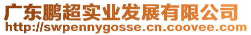 廣東鵬超實業(yè)發(fā)展有限公司