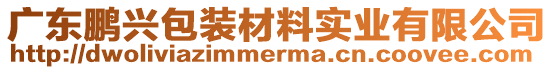 廣東鵬興包裝材料實業(yè)有限公司