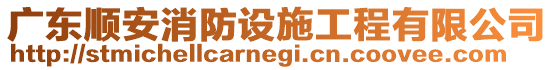 广东顺安消防设施工程有限公司