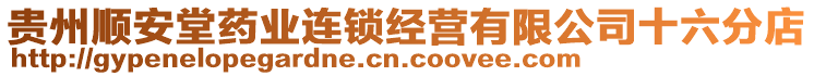 贵州顺安堂药业连锁经营有限公司十六分店