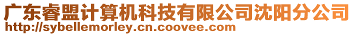 廣東睿盟計算機科技有限公司沈陽分公司