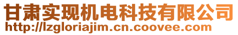 甘肅實(shí)現(xiàn)機(jī)電科技有限公司