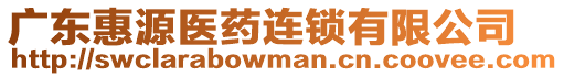 廣東惠源醫藥連鎖有限公司