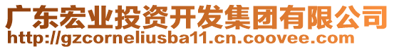 廣東宏業(yè)投資開發(fā)集團有限公司