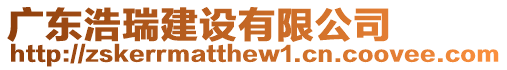 廣東浩瑞建設有限公司