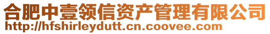 合肥中壹領(lǐng)信資產(chǎn)管理有限公司