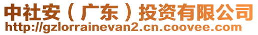 中社安（廣東）投資有限公司