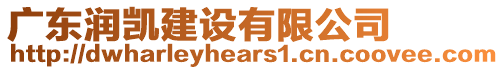 廣東潤凱建設(shè)有限公司