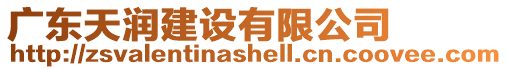廣東天潤建設有限公司