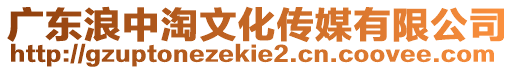 廣東浪中淘文化傳媒有限公司