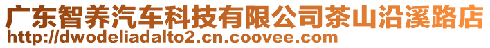 廣東智養(yǎng)汽車科技有限公司茶山沿溪路店