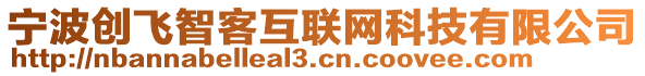 寧波創(chuàng)飛智客互聯(lián)網(wǎng)科技有限公司