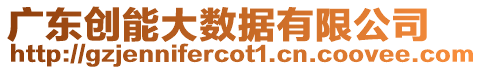 廣東創(chuàng)能大數(shù)據(jù)有限公司