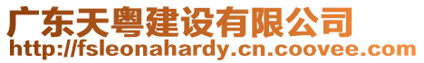 廣東天粵建設(shè)有限公司
