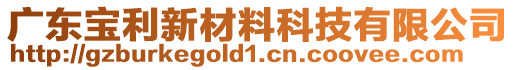 廣東寶利新材料科技有限公司