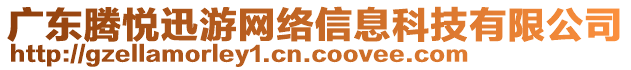 廣東騰悅迅游網(wǎng)絡(luò)信息科技有限公司