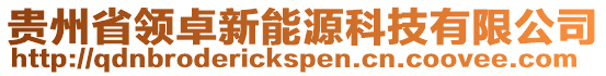 貴州省領(lǐng)卓新能源科技有限公司