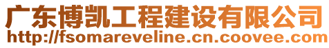 廣東博凱工程建設有限公司