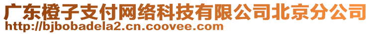 廣東橙子支付網絡科技有限公司北京分公司