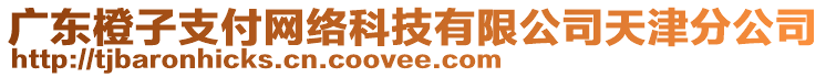 廣東橙子支付網(wǎng)絡(luò)科技有限公司天津分公司