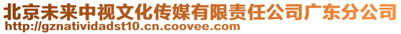 北京未來(lái)中視文化傳媒有限責(zé)任公司廣東分公司