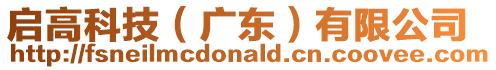 啟高科技(廣東)有限公司
