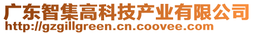 廣東智集高科技產業有限公司